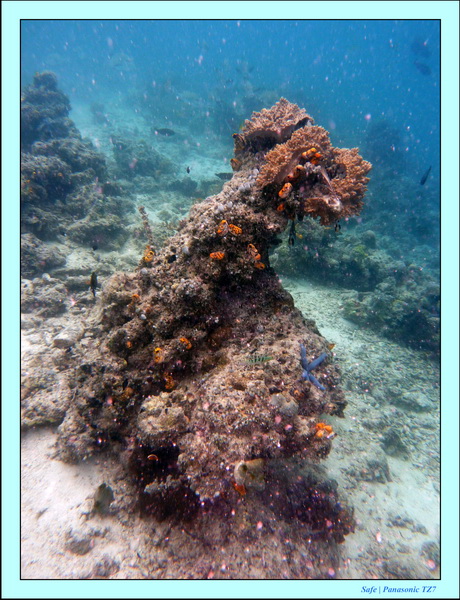 Kapalaï - Snorkeling